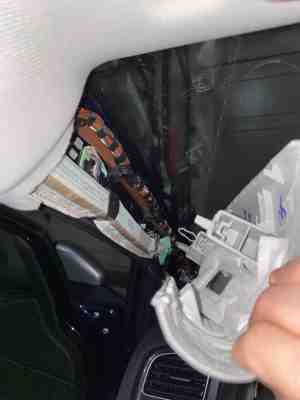 ../../_images/IMG_0417.300x400.25.jpeg