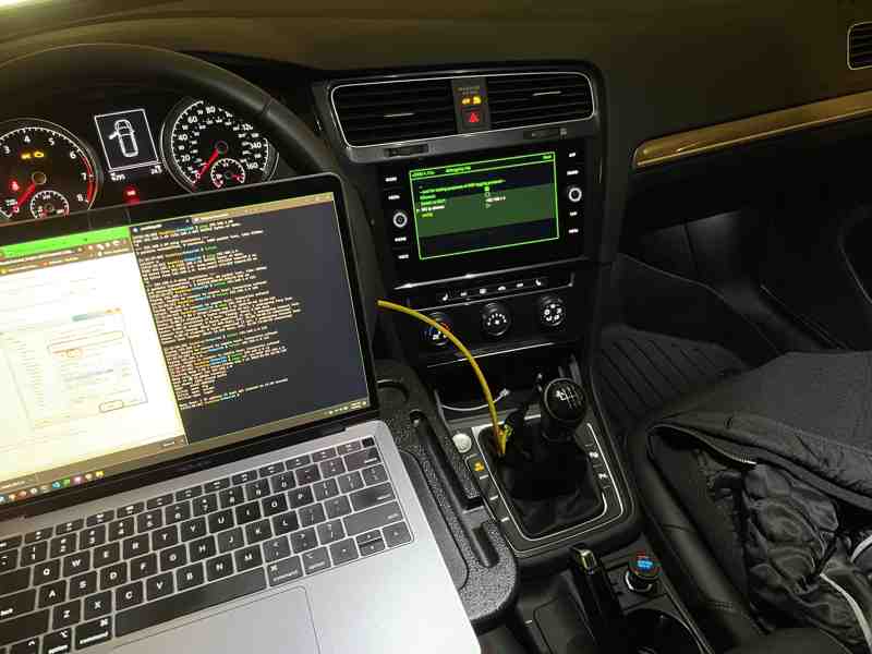 _images/rooting.800x600.25.jpg